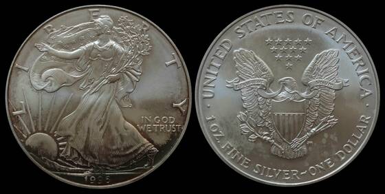 USA Silver-Eagle 1996